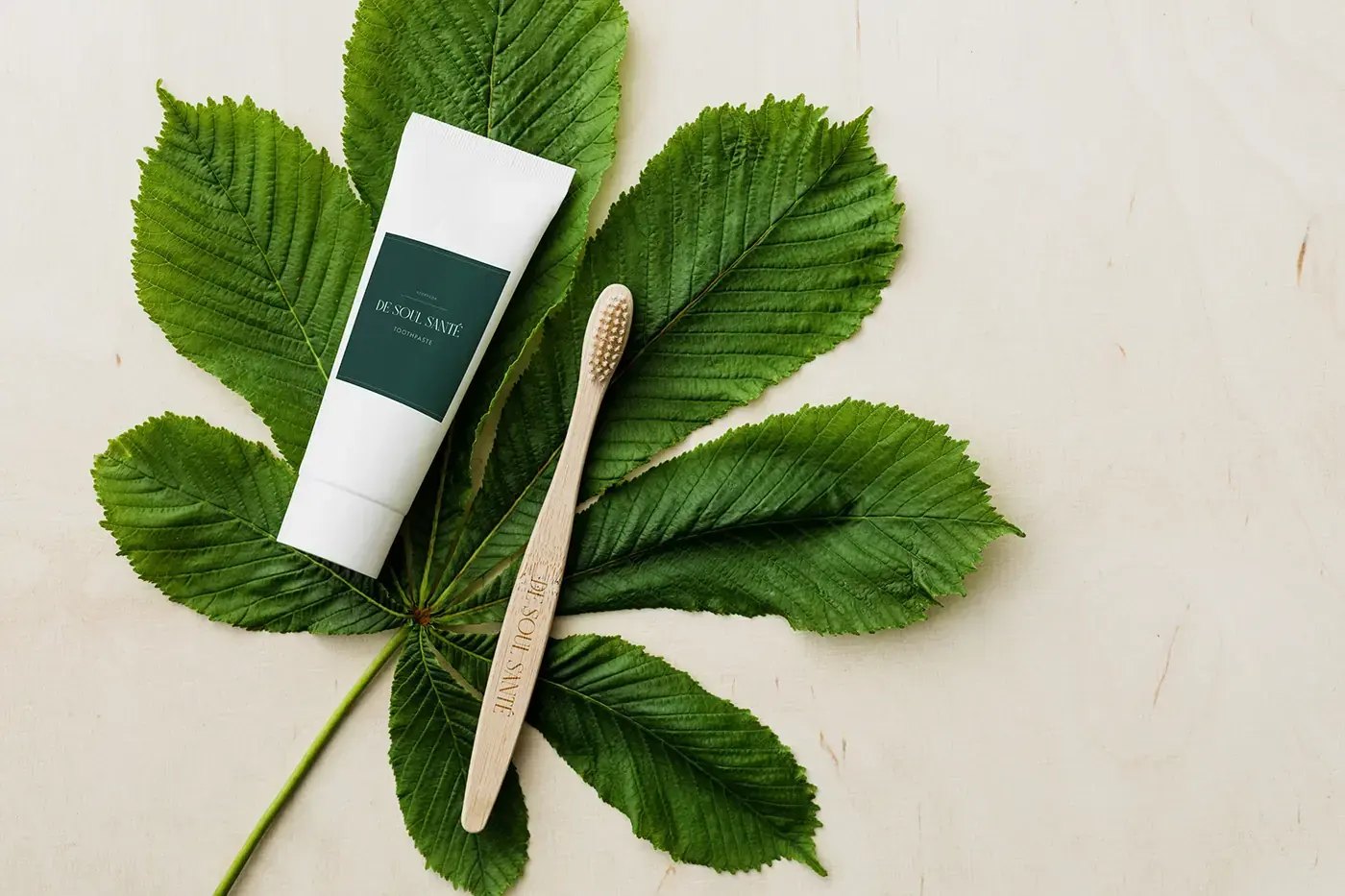De Soul Santé guest product and wooden brush arranged over green leaves