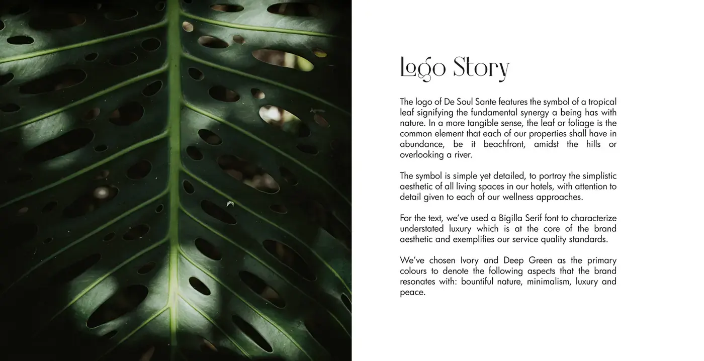 De Soul Santé logo story beside a close-up tropical leaf
