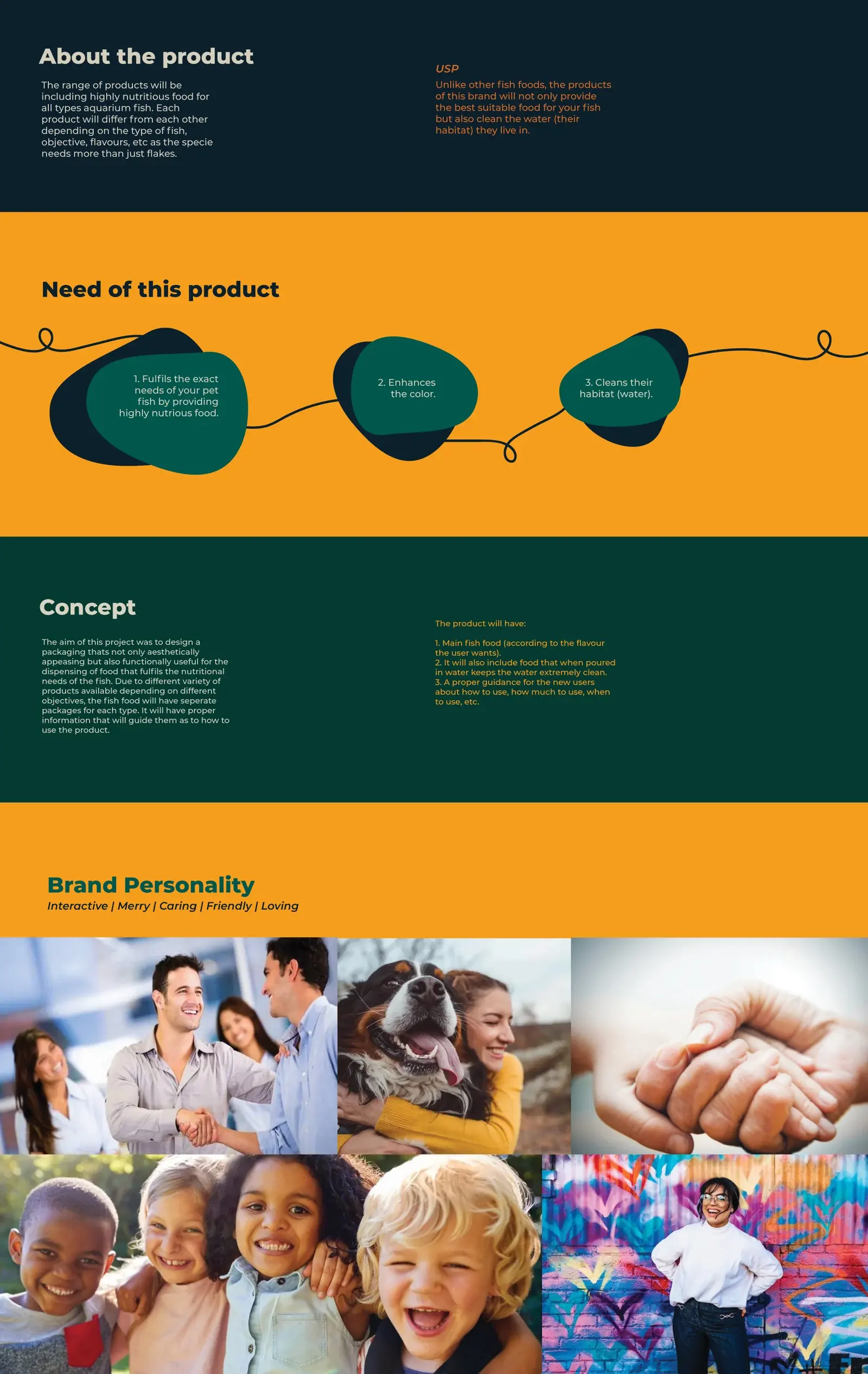 Fins strategy board covering product needs, concept and friendly brand personality